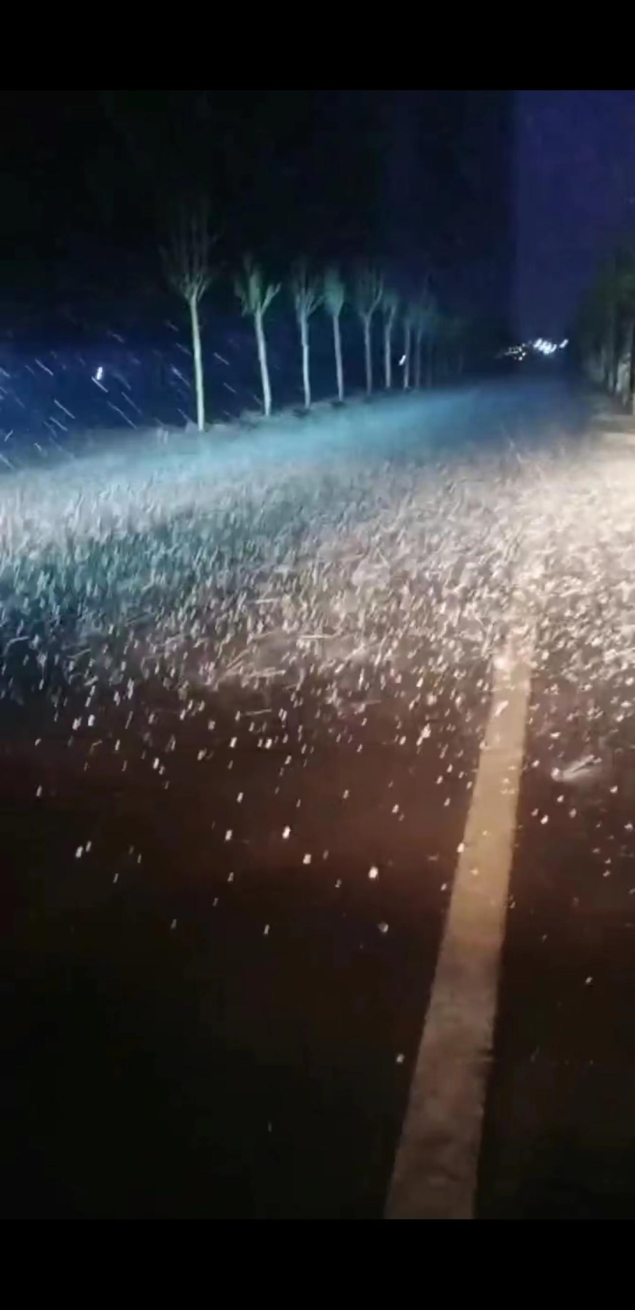 新乡遭遇狂风冰雹天气，最大冰雹直径10毫米 商户：市场大棚顶部全是洞