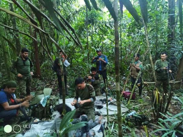 坠机后幸存 哥伦比亚4名儿童在丛林游走40天后获救